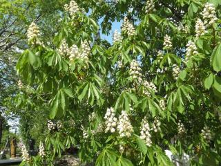 DSCF5946.JPG