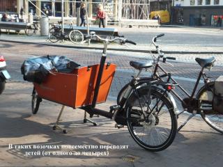 DSCF3544.JPG
