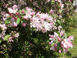 DSCF5922.JPG