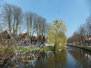 DSCF3620.JPG