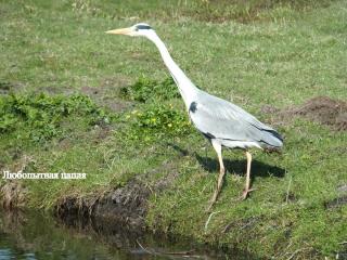 DSCF3492.JPG