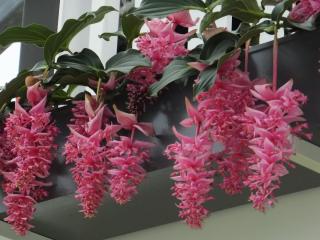 DSCF3880.JPG
