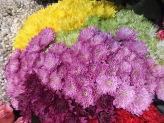 DSCF9758.JPG