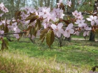 DSCF5618.JPG