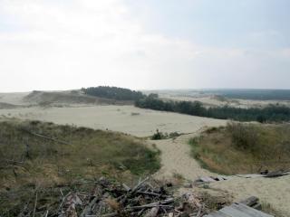 IMG_1182.JPG