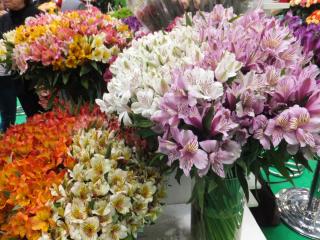 DSCF9982.JPG