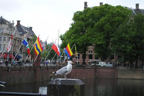 DSC_0729.JPG