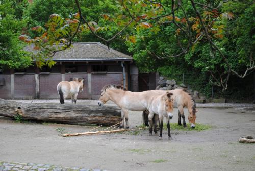 DSC_0179.JPG