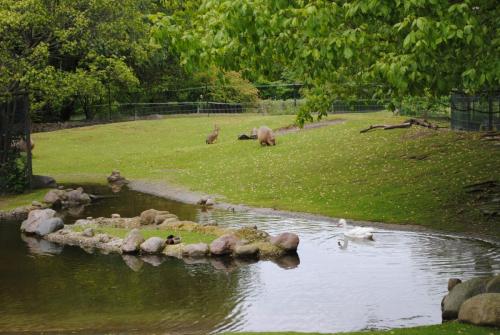 DSC_0173.JPG