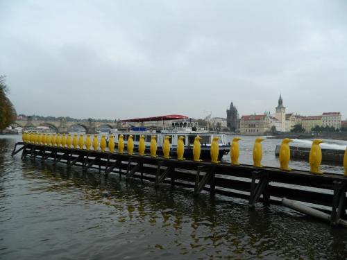 DSCN1117.JPG