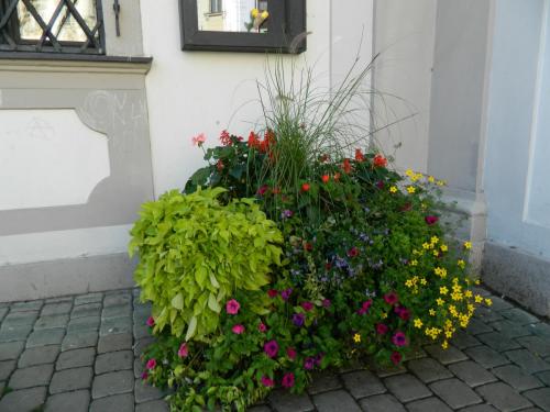 DSCN0713.JPG