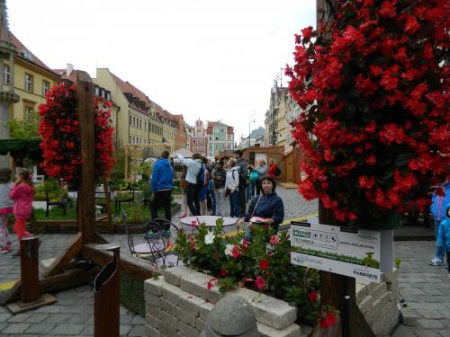 DSCN9313.JPG