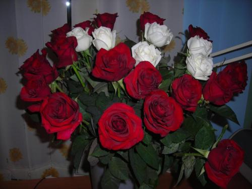 Изображение 037.jpg