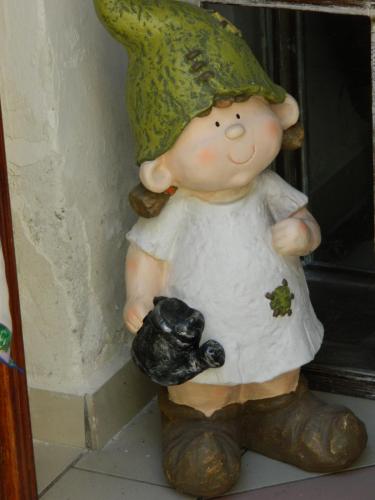 DSCN0697.JPG