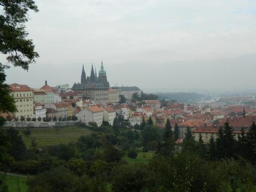 DSCN1171.JPG