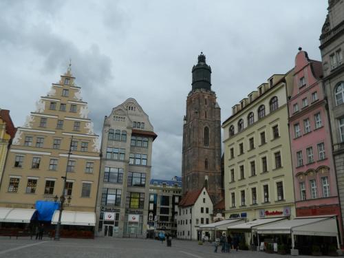 DSCN9251.JPG