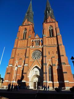 P1110083р.jpg