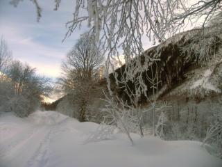 IMG_2364пр.jpg