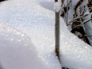 IMG_2345 пр.jpg