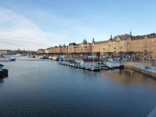 P1030008.JPG