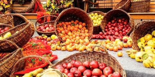 Harvest.jpg