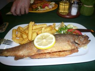 P1000552.JPG
