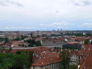 P1070568.JPG