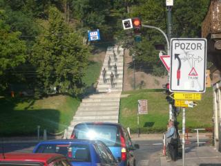 P1000331.JPG