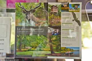 Blois-1.jpg