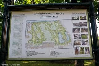 Peter_2-10.jpg