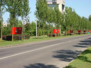 DSC08354.JPG