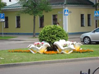 DSC08353.JPG