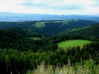 otpusk 015.jpg