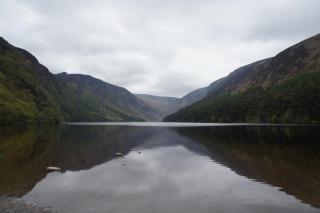 DSC03477.jpg