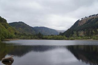 DSC03467.jpg