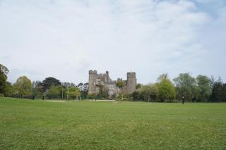 DSC03215.jpg