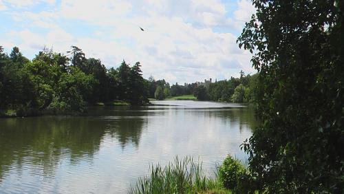 IMGA0443.JPG