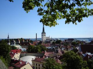 DSC08690.JPG