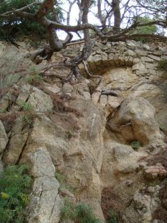 DSC03095.JPG