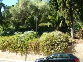 DSC03696.JPG