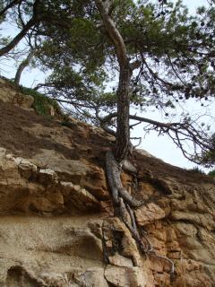 DSC03105.JPG
