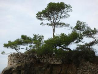 DSC03089.JPG