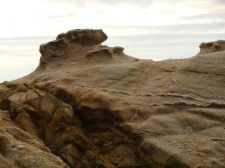 DSC03101.JPG