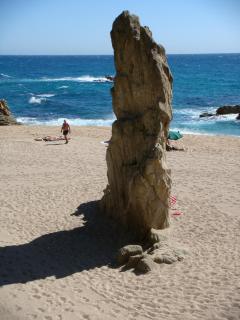DSC02958.JPG