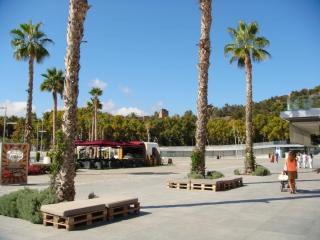 DSC03690.JPG