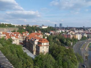DSCN2197.JPG