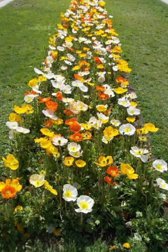 DSCN5680.JPG