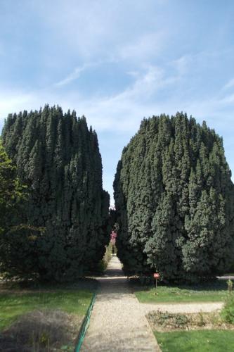 DSCN5647.JPG
