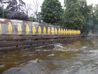 DSCN2142.JPG
