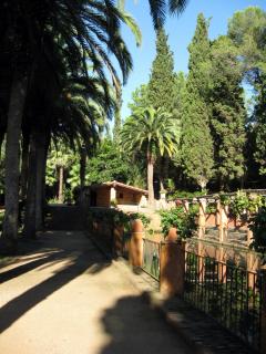 IMG_0893.JPG
